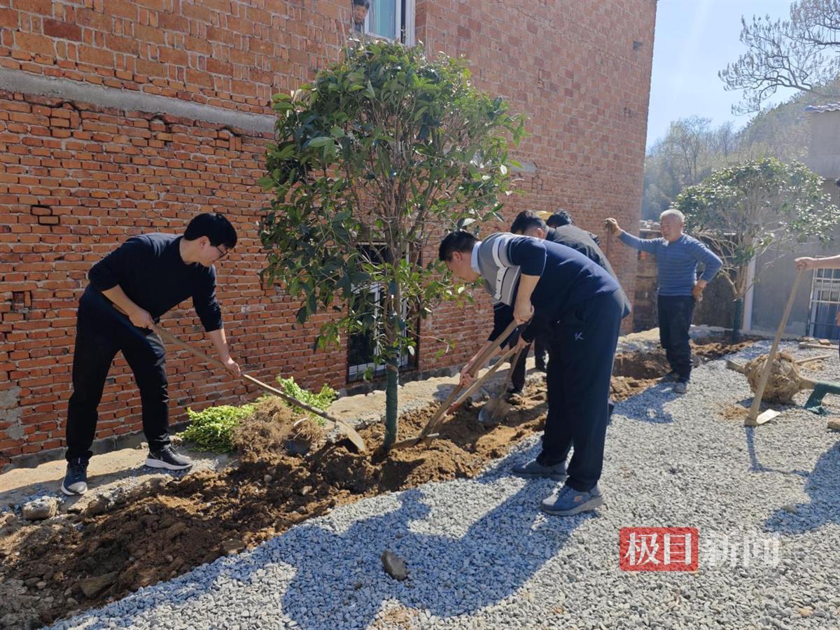 图片5.png 图片5.png